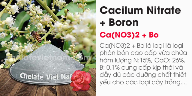 Bán Canxi Nitorat (Ca(NO3)2.4H20) CaO = 26%; N = 15,5%